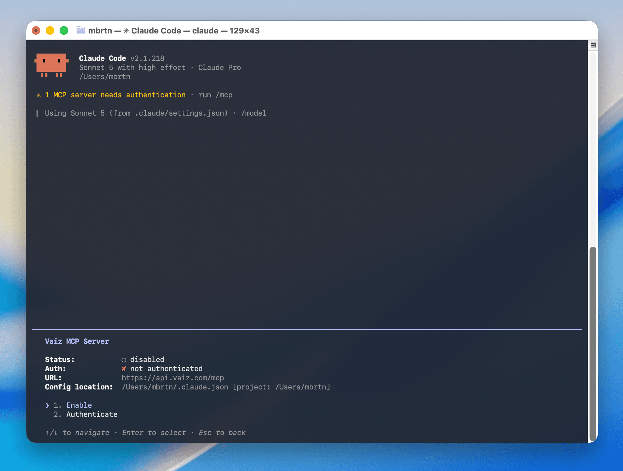 Enabling the Vaiz MCP server in Claude Code